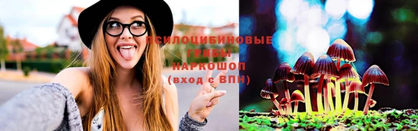 прущие грибы Арсеньев