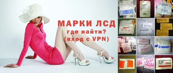 прущие грибы Арсеньев