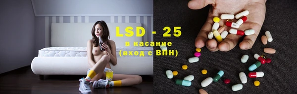 ПСИЛОЦИБИНОВЫЕ ГРИБЫ Балабаново