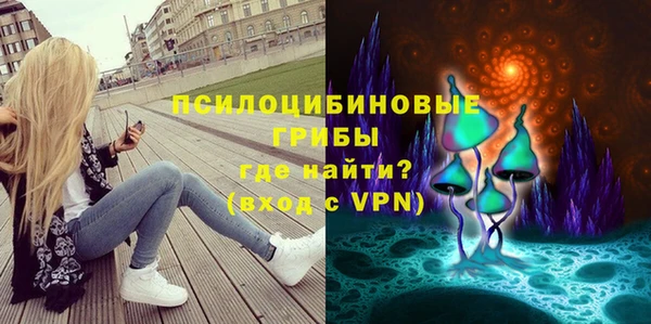 прущие грибы Арсеньев
