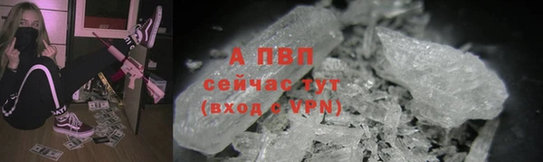 прущие грибы Арсеньев