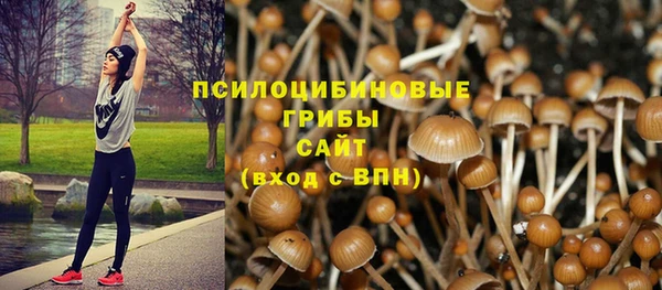 ПСИЛОЦИБИНОВЫЕ ГРИБЫ Балабаново