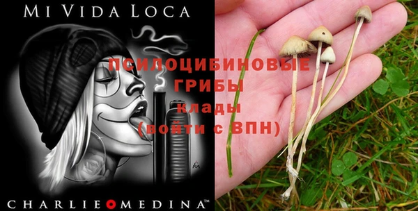 ПСИЛОЦИБИНОВЫЕ ГРИБЫ Балабаново