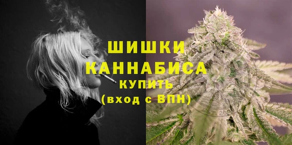 ПСИЛОЦИБИНОВЫЕ ГРИБЫ Балабаново